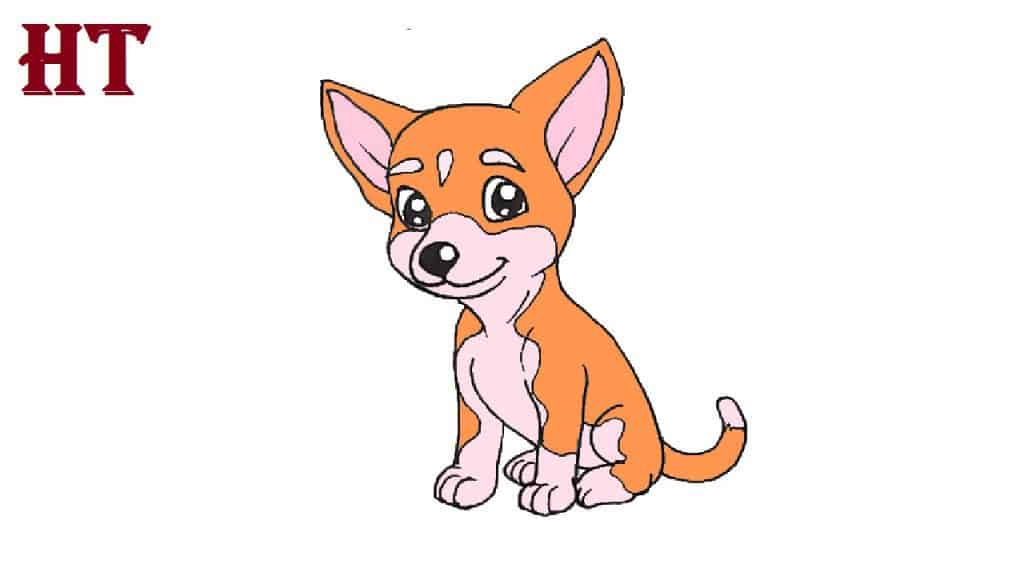 How to draw a Chihuahua