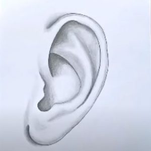 How to draw a ear step by step