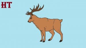 How to draw an Elk