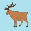 How to draw an Elk Step By Step