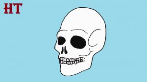 How to draw skull step by step