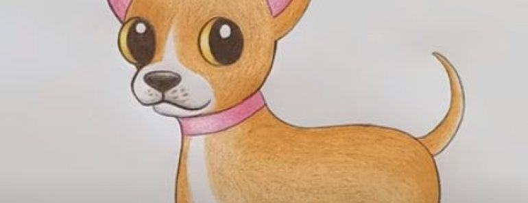 How To Draw A Chihuahua Step By Step Dog Drawing Easy