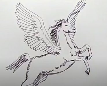 How to draw a Pegasus step by step