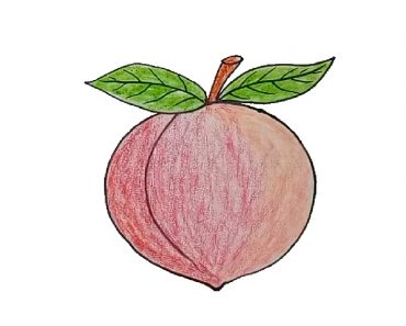 How to Draw a Peach Easy || Fruit drawings for beginners
