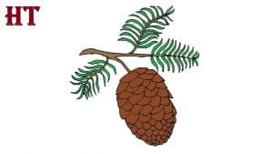 How to Draw a Pinecone