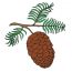 How to Draw a Pinecone easy || Fruit Drawings Easy for Beginners