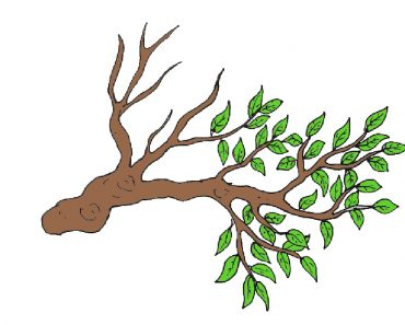 How to Draw a Tree Branch Step By Step  || Tree Drawing easy