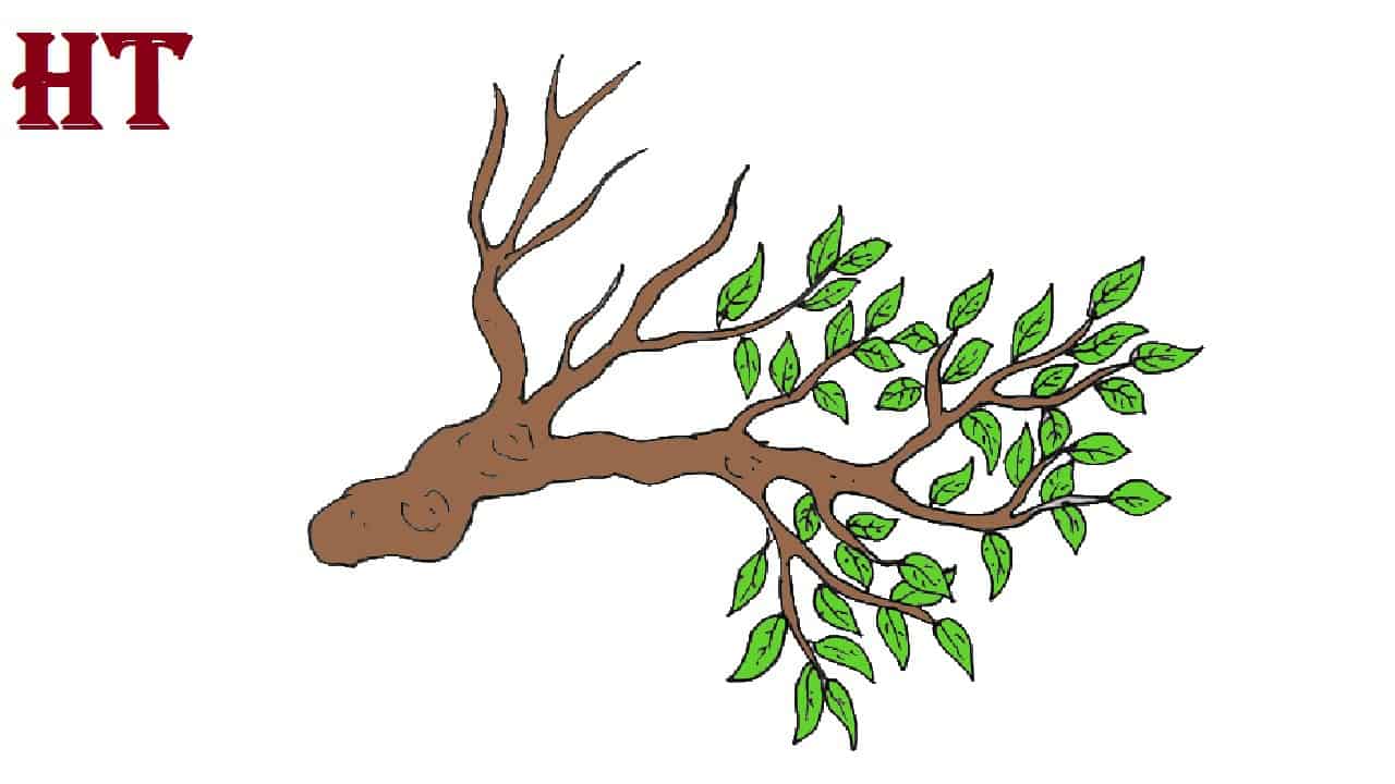 How to Draw a Tree Branch Step By Step Tree Drawing easy