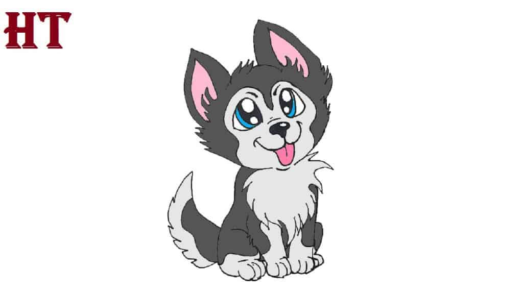 How to draw a Husky cute and easy