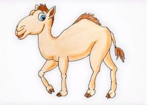 Cartoon Camel Drawing For Kids Step by Step