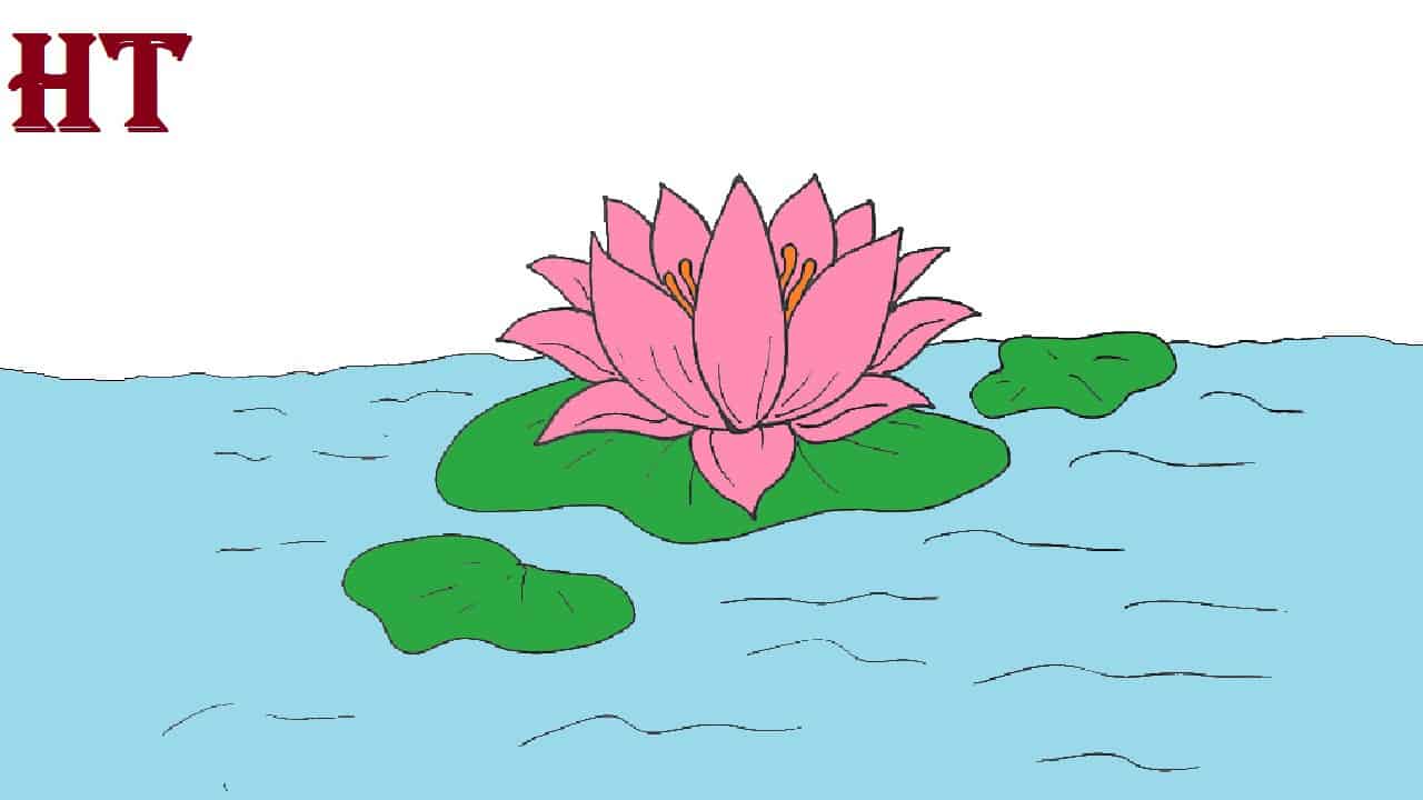 How to Draw Lotus Flower (Step by Step Pictures)