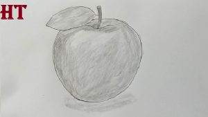 Apple Drawing with Pencil - Fruit Pencil Sketch