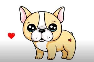 How to Draw a French Bulldog Cute and Easy