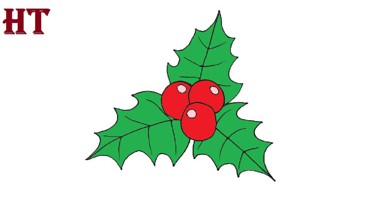 How to Draw a Holly Step By Step Mistletoe Fruit Drawing Easy