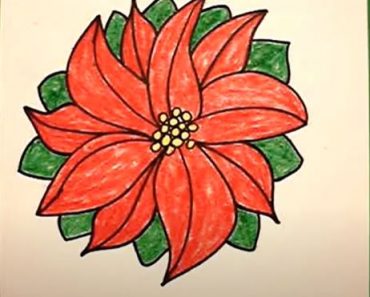 How to Draw a Poinsettia Step By Step