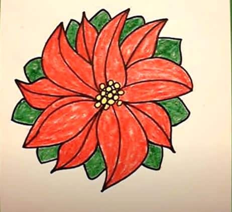 How To Draw A Poinsettia Step By Step