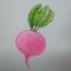 How to Draw a Radish Step by Step Easy