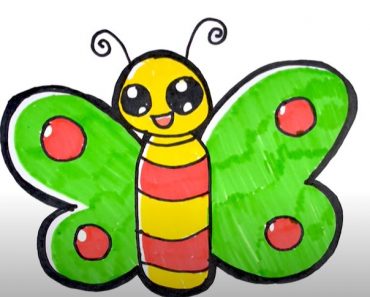 Butterfly Drawing for Kids || How to draw a Butterfly Easy