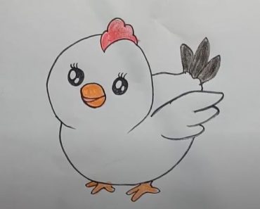 Chicken Drawing easy for kids – How to draw a Chicken