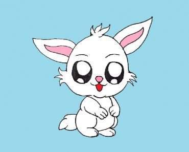 Cute Bunny Drawing Step by Step – How to draw a cute Bunny Easy