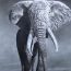 Elephant Drawing with Pencil ||  Wild Animals Drawing