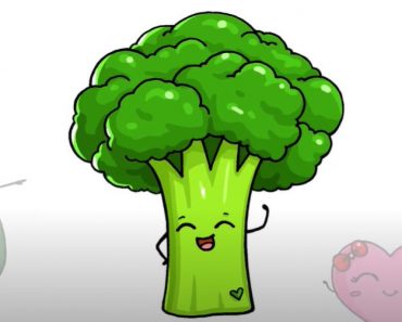How to Draw Broccoli Easy for Beginners - Vegetable Drawing