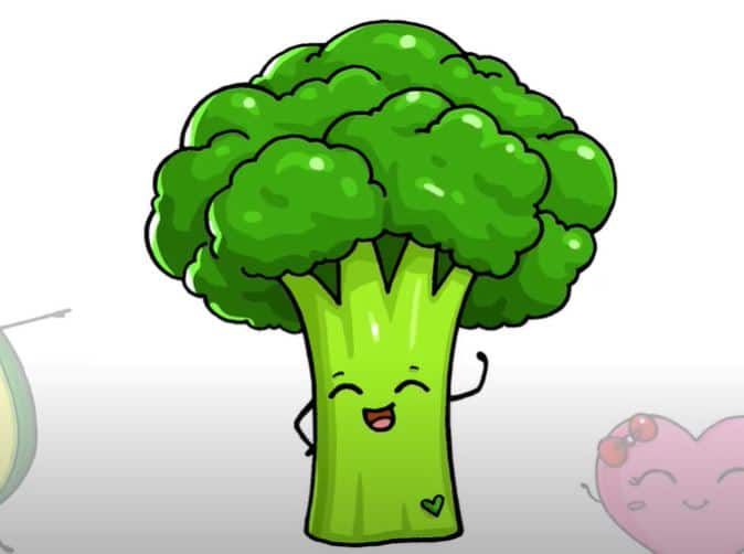 How to Draw Broccoli Easy for Beginners Vegetable Drawing