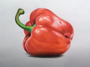 How to Draw a Bell Pepper Step by Step - How to draw Fruits Easy