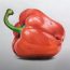 How to Draw a Bell Pepper Step by Step || How to draw Fruits Easy