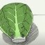 How to Draw a Brussels Sprout Step by Step || Vegetables Drawing