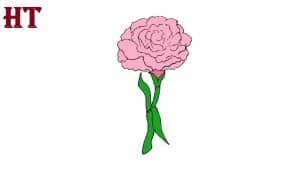 How to Draw a Carnation