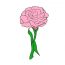How to Draw a Carnation Flower Step by Step