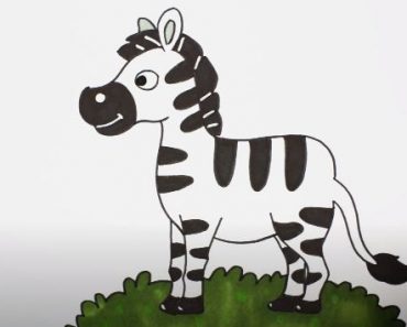How to Draw a Cartoon Zebra Step by Step