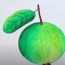 How to Draw a Guava Step by Step – Fruit Drawings