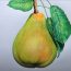 How to Draw a Pear Step by Step || Fruit drawings for Beginners