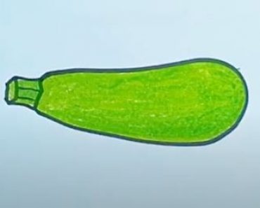 How to Draw a Zucchini Step by Step