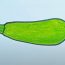 How to Draw a Zucchini Step by Step