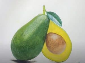 How to Draw an Avocado with pencil Step by Step - Fruit Drawings for Beginners