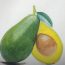 How to Draw an Avocado with pencil Step by Step – Fruit Drawings for Beginners