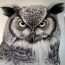 How to Draw an Owl Face Step by Step || Bird Drawing