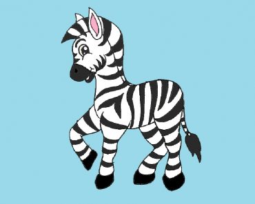 How to draw a Cartoon Zebra Cute and Easy