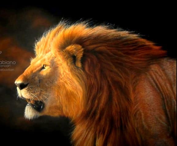 How to draw a Realistic Lion Step by Step