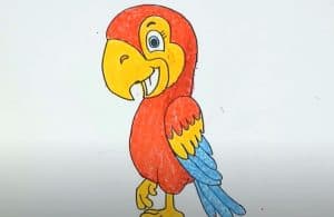 How to draw a cartoon Parrot Step by Step