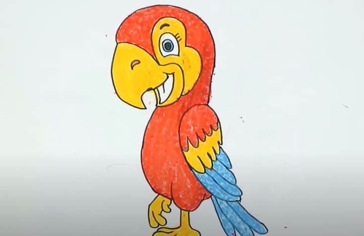 Cartoon Parrot Dressed As A Pirate PNG Images | PSD Free Download - Pikbest