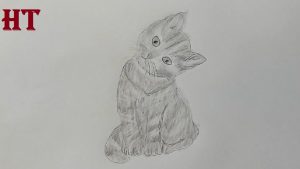 Kitten Drawing with Pencil