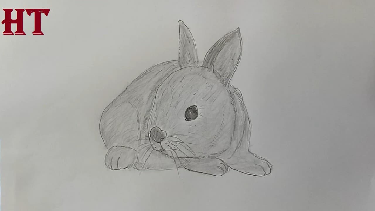 Discover more than 198 rabbit drawing images best