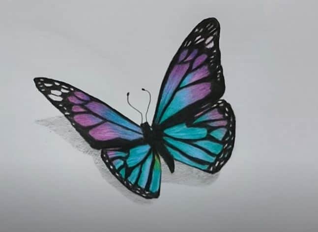How to Draw a Butterfly for Kids - How to Draw Easy-saigonsouth.com.vn
