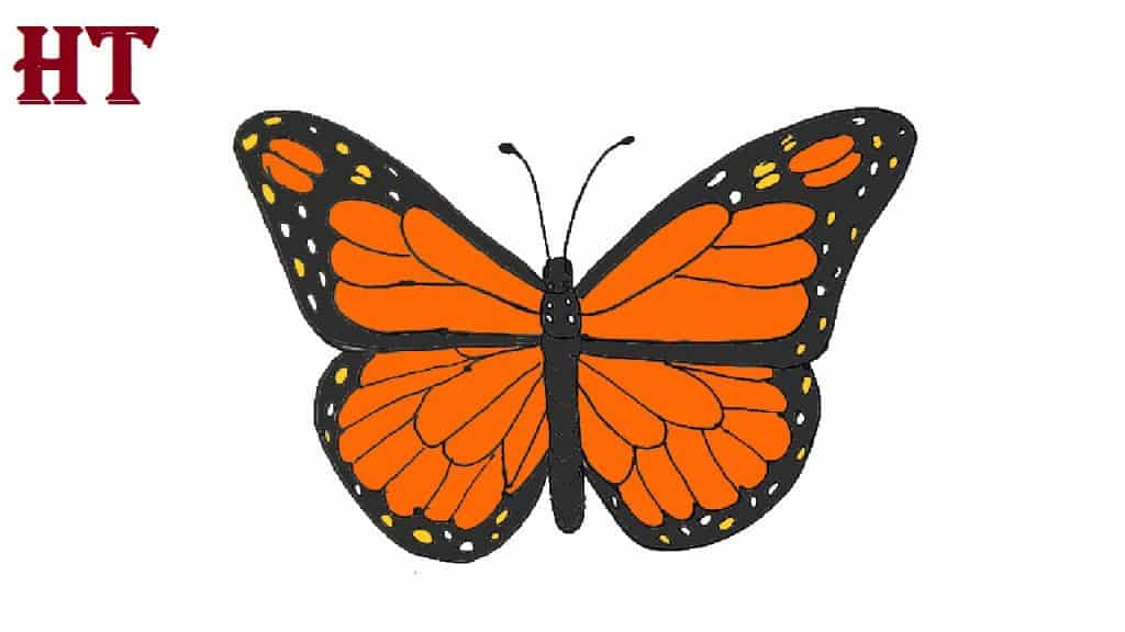 Simple Butterfly Drawing easy for beginners