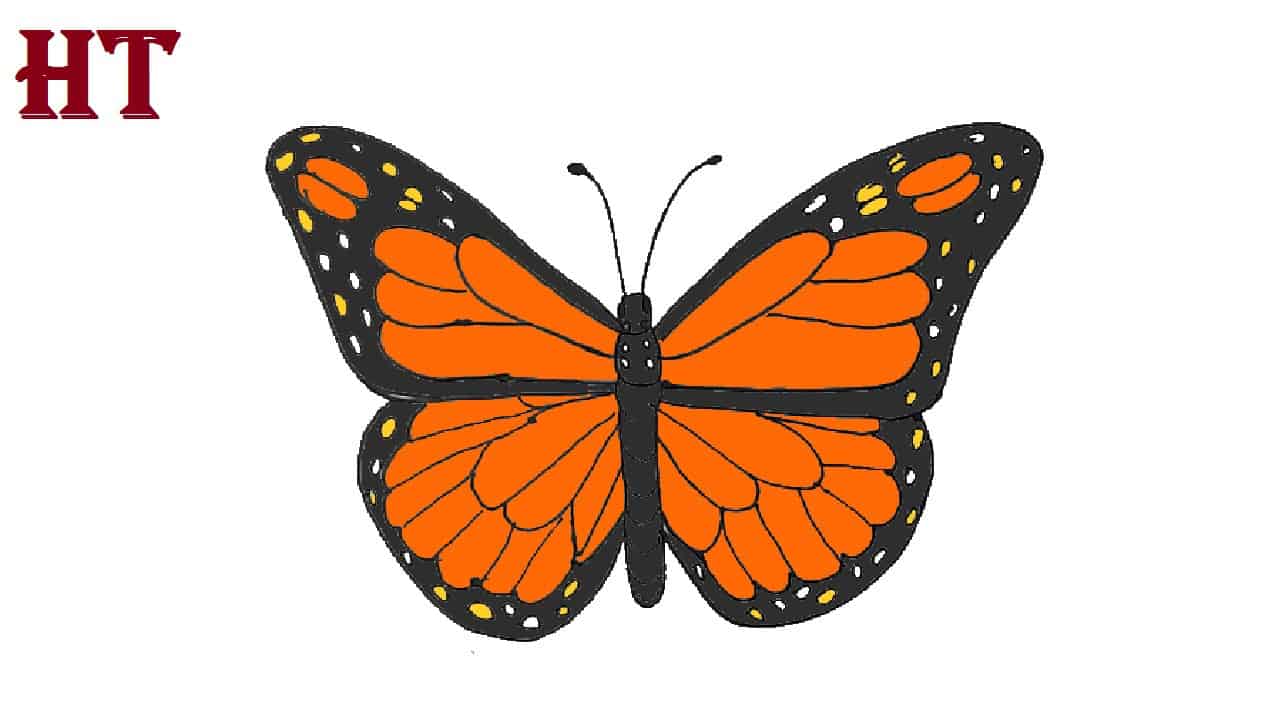 How to Draw a Butterfly: 15 EASY Drawing Projects-saigonsouth.com.vn