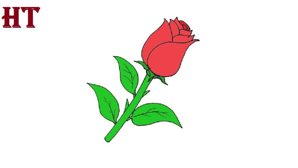 Simple Rose Drawing